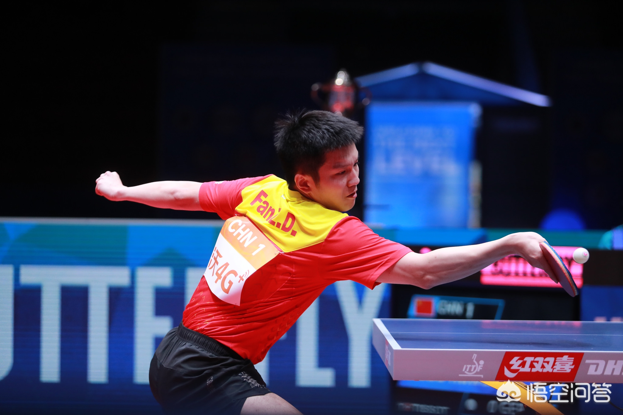 比如成功的 比如成功的