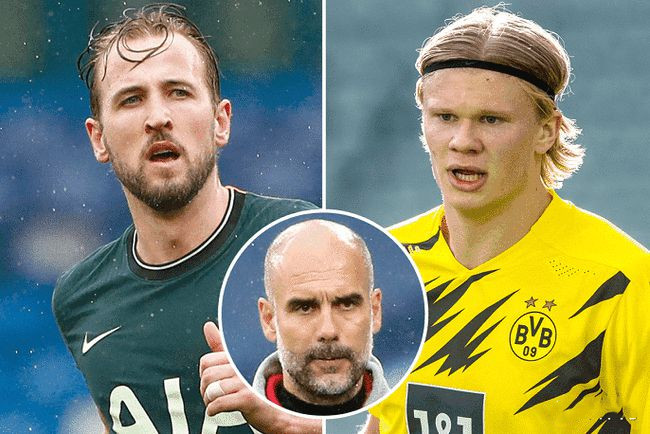 体配合度 体配合度